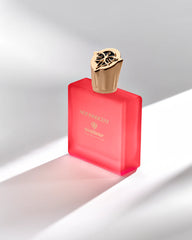 ÉVEILLEUR - NOT INNOCENT