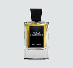 Ambar Dominicano