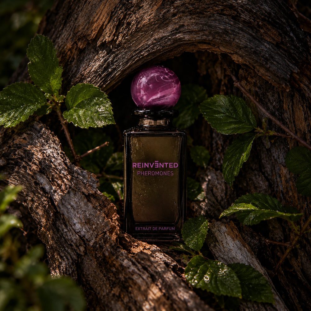 Reinvented Pheromones perfume, sensual floral woody fragrance – alternate view