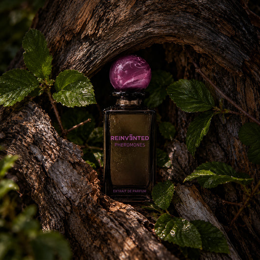 Reinvented Pheromones perfume, sensual floral woody fragrance – alternate view