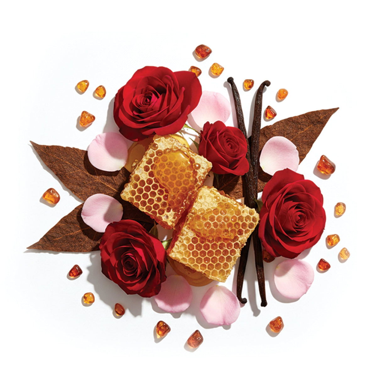 my Geisha Foreplay - Extrait De Parfum