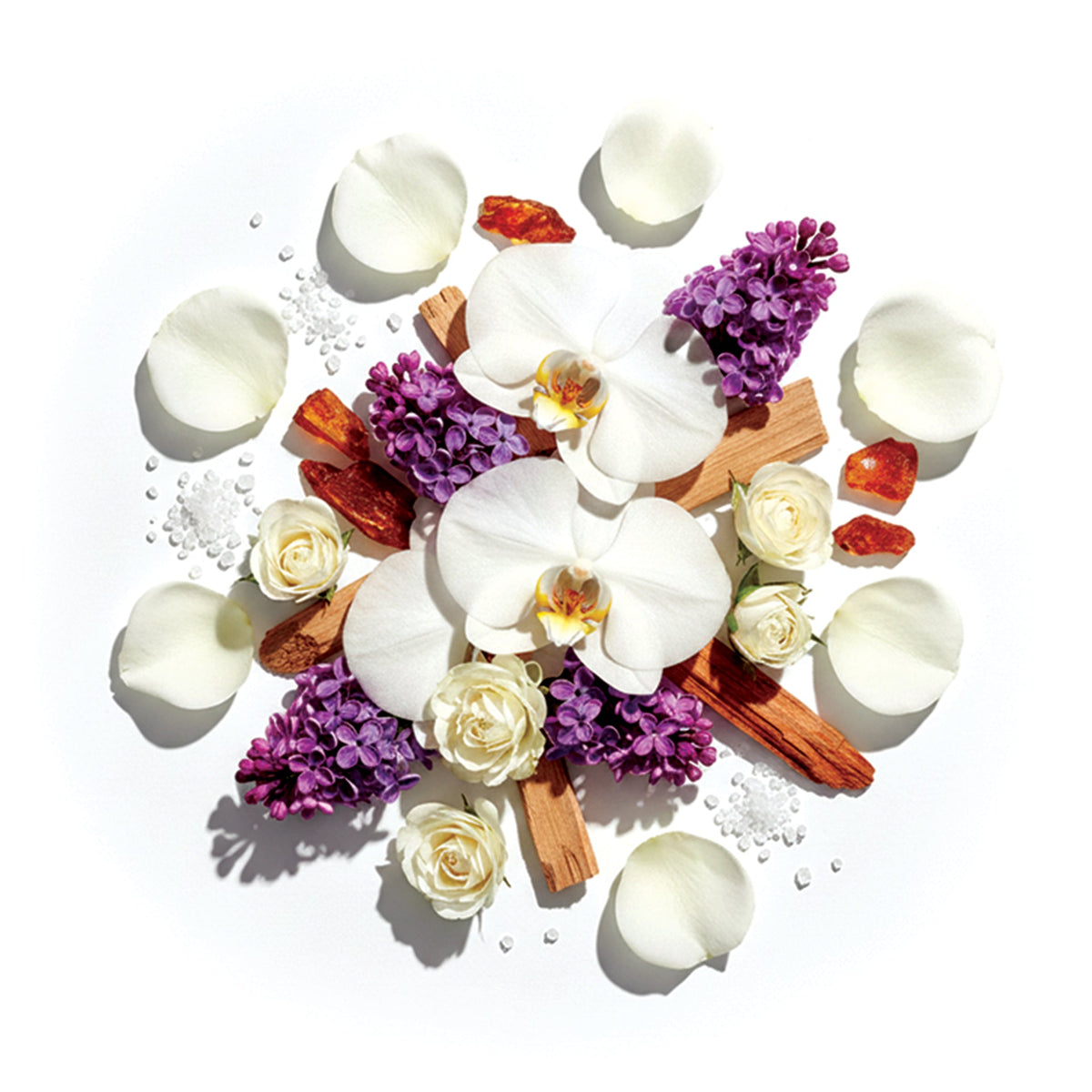 my Geisha Musk - Huile De Parfum Premium