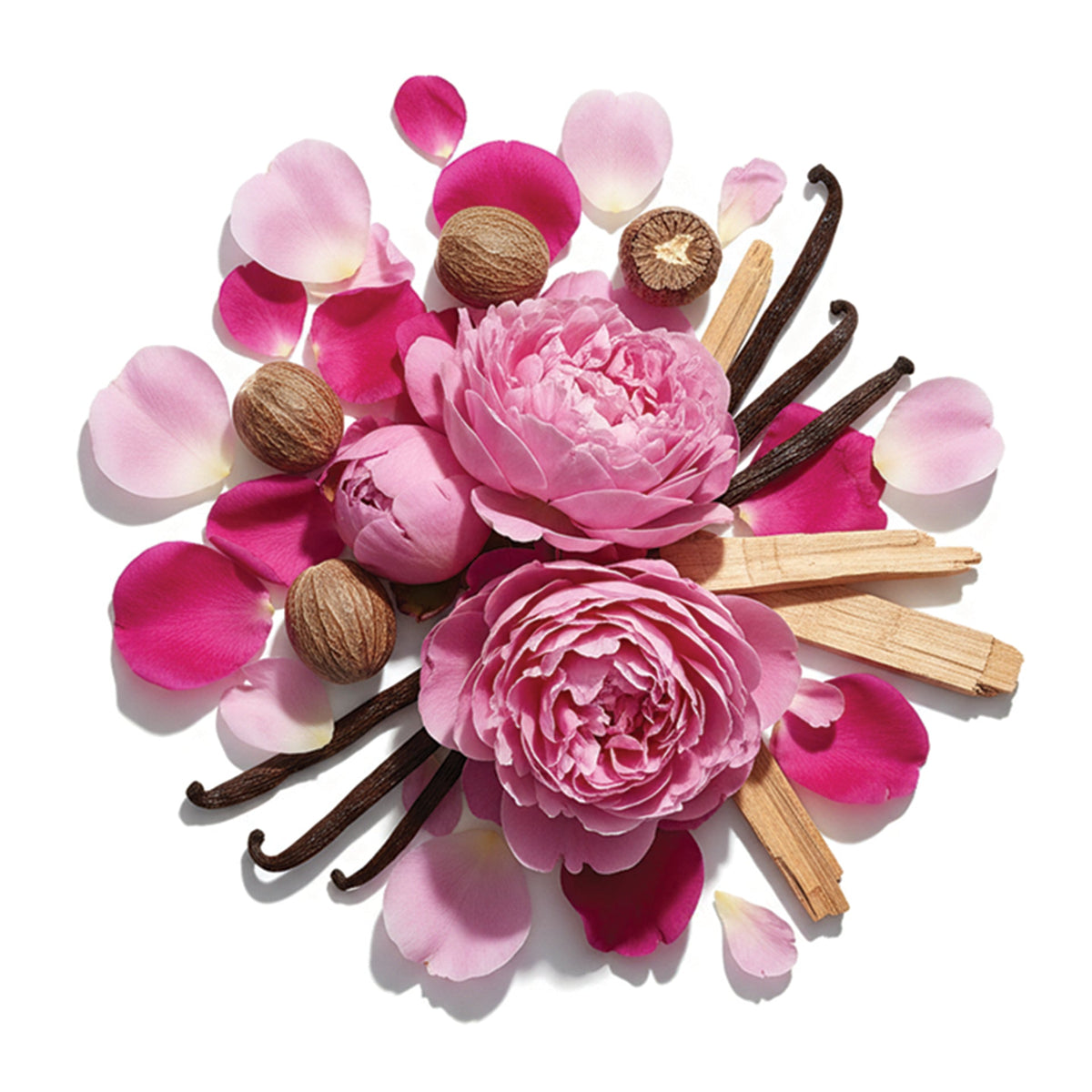 my Geisha Rose Poudre - Extrait De Parfum